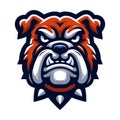 brave animal bulldog head face mascot design vector illustration, logo template isolated on white background Royalty Free Stock Photo