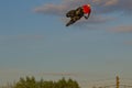 A brave biker jumps very high on a motorcycle and performs a stunt.