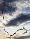 Brave bungee girl playing under