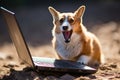 Brave corgi dog bravely defends laptop with sword and shield in bright office