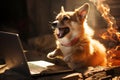 Brave corgi dog bravely defends laptop with sword and shield in bright office