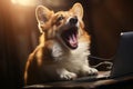 Brave corgi dog bravely defends laptop with sword and shield in bright office