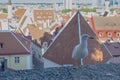 Brave and Curious Albatros Posing in Front of Old Town of Tallinn