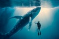 Brave diver floats alongside a magnificent whale, capturing a moment of awe-inspiring beauty in the deep sea