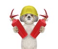 Brave firefighter dog is ready to work Royalty Free Stock Photo