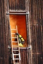 brave firefighters with oxygen cylinder goes into a house through a window during a fire