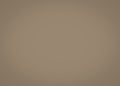 Brave ground, earth color background. Scandinavian color of the year 2021