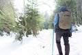 Brave mountaineer woman walking alone with rucksack in the snow, holding a blue stick on the woodland. Walker girl ascend with