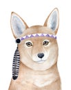 Brave red dingo dog character portrait with beautiful eyes and violet headgear decorated with striped eagle feather.