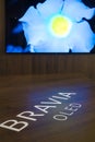 BRAVIA OLED on display at Sony Expo 2019