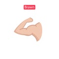 Brawn line fit icons