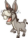 Laughing and braying gray donkey or mule