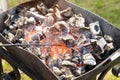 Brazier with the burning coals Royalty Free Stock Photo