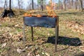 Brazier with burning firewood in a forest glade