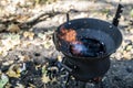 Brazier, coal fire. Autumn forest. Sunny day. Royalty Free Stock Photo