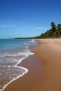 Brazil Alagoas Maceio deserted palm lined beach Royalty Free Stock Photo