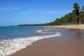 Brazil Alagoas State Maceio palm lined beach Royalty Free Stock Photo