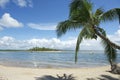 Brazil Beach Palm Tree Nordeste Bahia Royalty Free Stock Photo