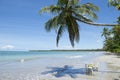 Brazil Beach Palm Tree Table and Chairs Royalty Free Stock Photo