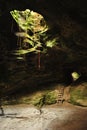 Brazil Cave