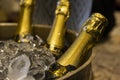 Brazil - Circa September, 2018: Bottles of champagne and sparkling wine in ice bucket at the restaurant.