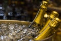 Brazil - Circa September, 2018: Bottles of champagne and sparkling wine in ice bucket at the restaurant.