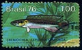 BRAZIL - CIRCA 1976: stamp 1 Brazilian cruzeiro printed by Brazil, shows fish Comb Pike Cichlid Crenicichla lepidota, fish fauna Royalty Free Stock Photo