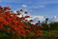 Brazil Colonial - Pirenopolis Royalty Free Stock Photo