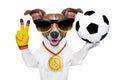 Brazil fifa world cup dog Royalty Free Stock Photo