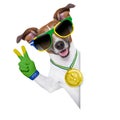 Brazil fifa world cup dog Royalty Free Stock Photo