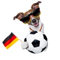 Brazil fifa world cup dog Royalty Free Stock Photo