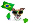 Brazil fifa world cup dog Royalty Free Stock Photo