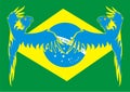 Brazil flag with McCaws Royalty Free Stock Photo