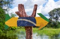 Brazil Flag wooden sign with forest background