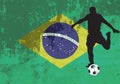 Brazil Royalty Free Stock Photo