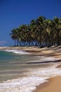 Brazil Maceio Gunga Beach Royalty Free Stock Photo