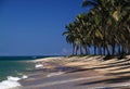 Brazil Maceio Gunga Beach in Alagoas sta Royalty Free Stock Photo