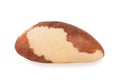 Brazil nut. Royalty Free Stock Photo