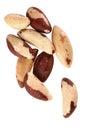 Brazil nut Royalty Free Stock Photo