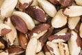 Brazil Nut Background Royalty Free Stock Photo