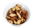 Brazil nut (Bertholletia excelsa)