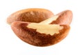 Brazil nut. Group of fruits on white background Royalty Free Stock Photo
