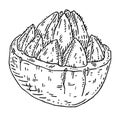 Brazil nut half shelled. Vector engraving black vintage illustration.