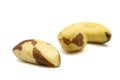 Brazil nut isolated. Close up Royalty Free Stock Photo