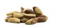 Brazil nut isolated. Empty space for text. Copy space Royalty Free Stock Photo