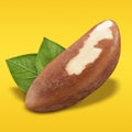 Brazil nut peeled on pastel yellow and orange background. Closeup one Brazil nut without shell with green leaves as