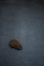 Brazil Nut resting on dark background Royalty Free Stock Photo