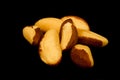 Brazil nuts Royalty Free Stock Photo