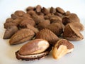 Brazil nuts Royalty Free Stock Photo