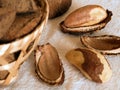 Brazil nuts Royalty Free Stock Photo